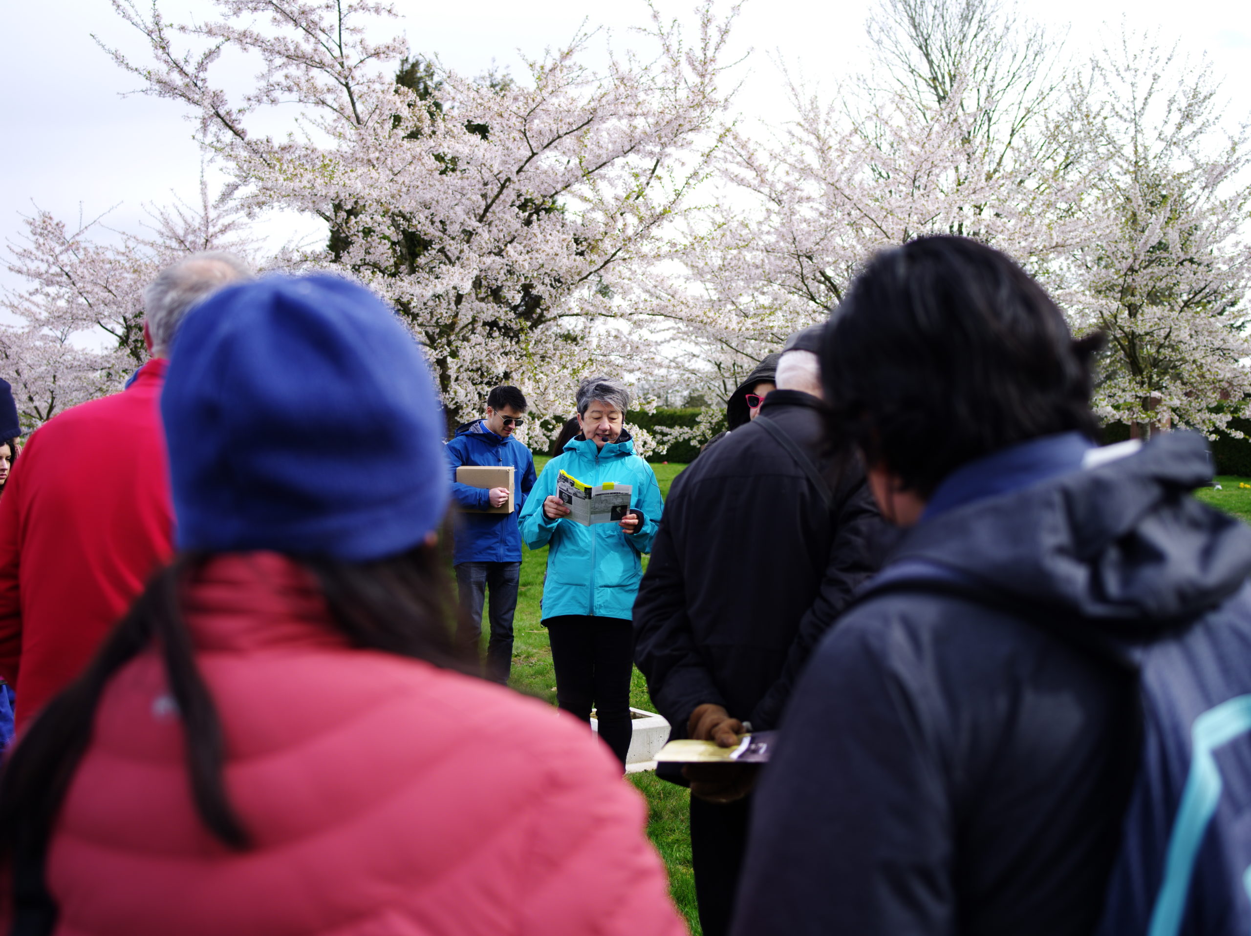 Image Description: A person with short grey hair stands in the center of a photograph reading from their notes. They are wearing a small headset microphone and a light blue jacket. They are surrounded by a group of people who are paying attention to them intently. There are blossoming cherry blossom tree branches all across the background of the photograph.